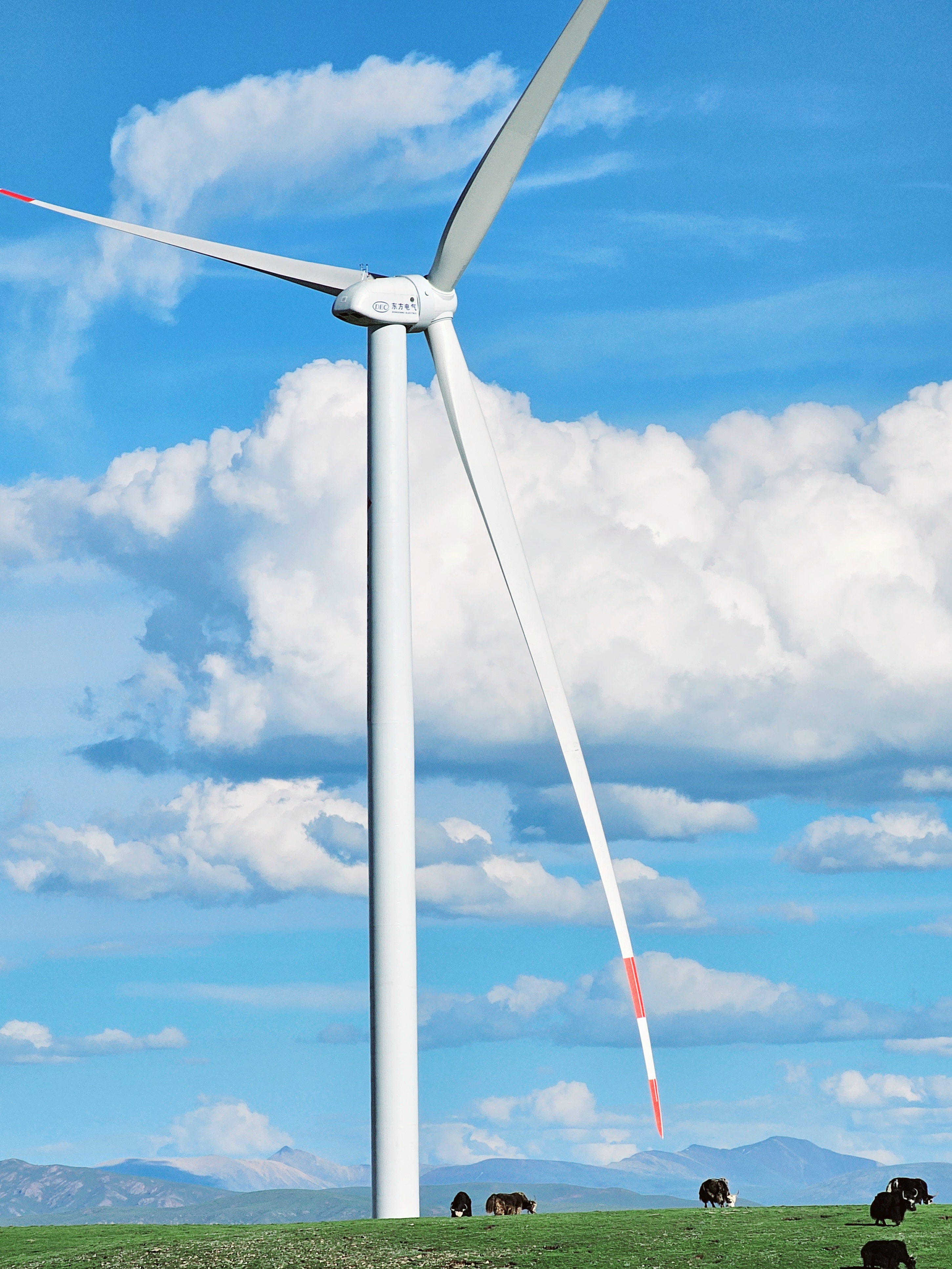 ROR(����)�����Ƽ����޹�˾����