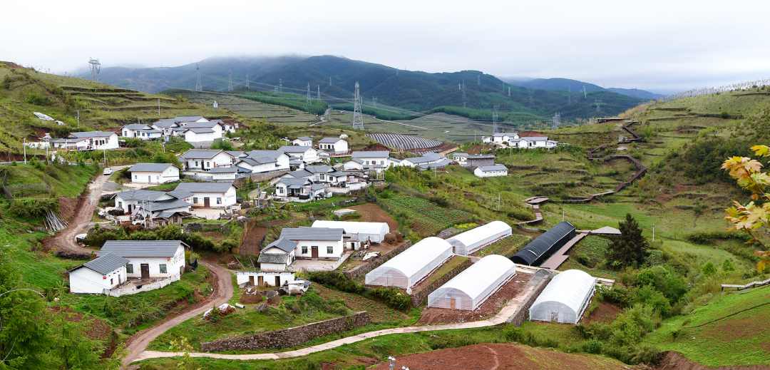 ROR(集团)体育科技有限公司官网