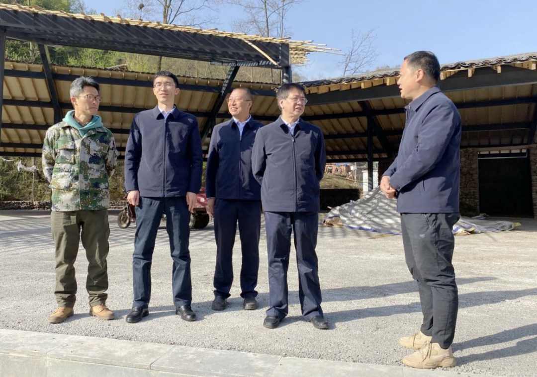 ROR(集团)体育科技有限公司官网